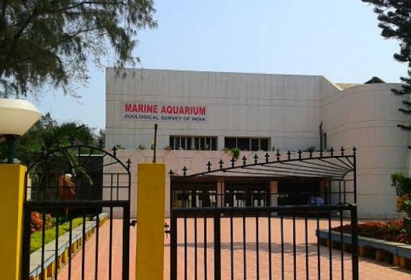 Marine Aquarium & Regional Centre