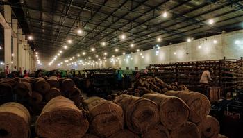 U3beanaea3p74kgxww9cf5mu7pbb 51067028021 169da44c41 o