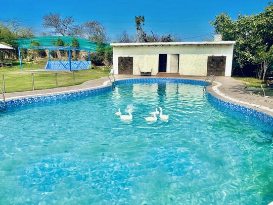 Apple Adventure Resort Image