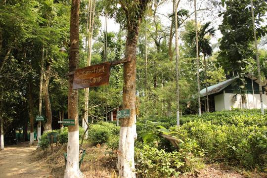Go Wild At Kaziranga With Nature Hunt Eco Camp Image