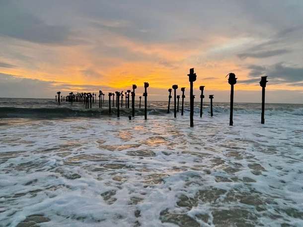 U5prvfzaokew8ofxhft8pw29g3u7 alleppey%20beach 2