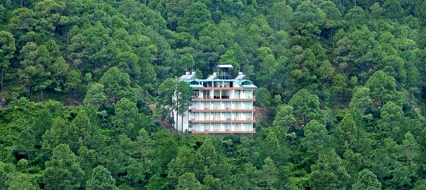 This boutique lodge is located in between the pine hills of Kasauli