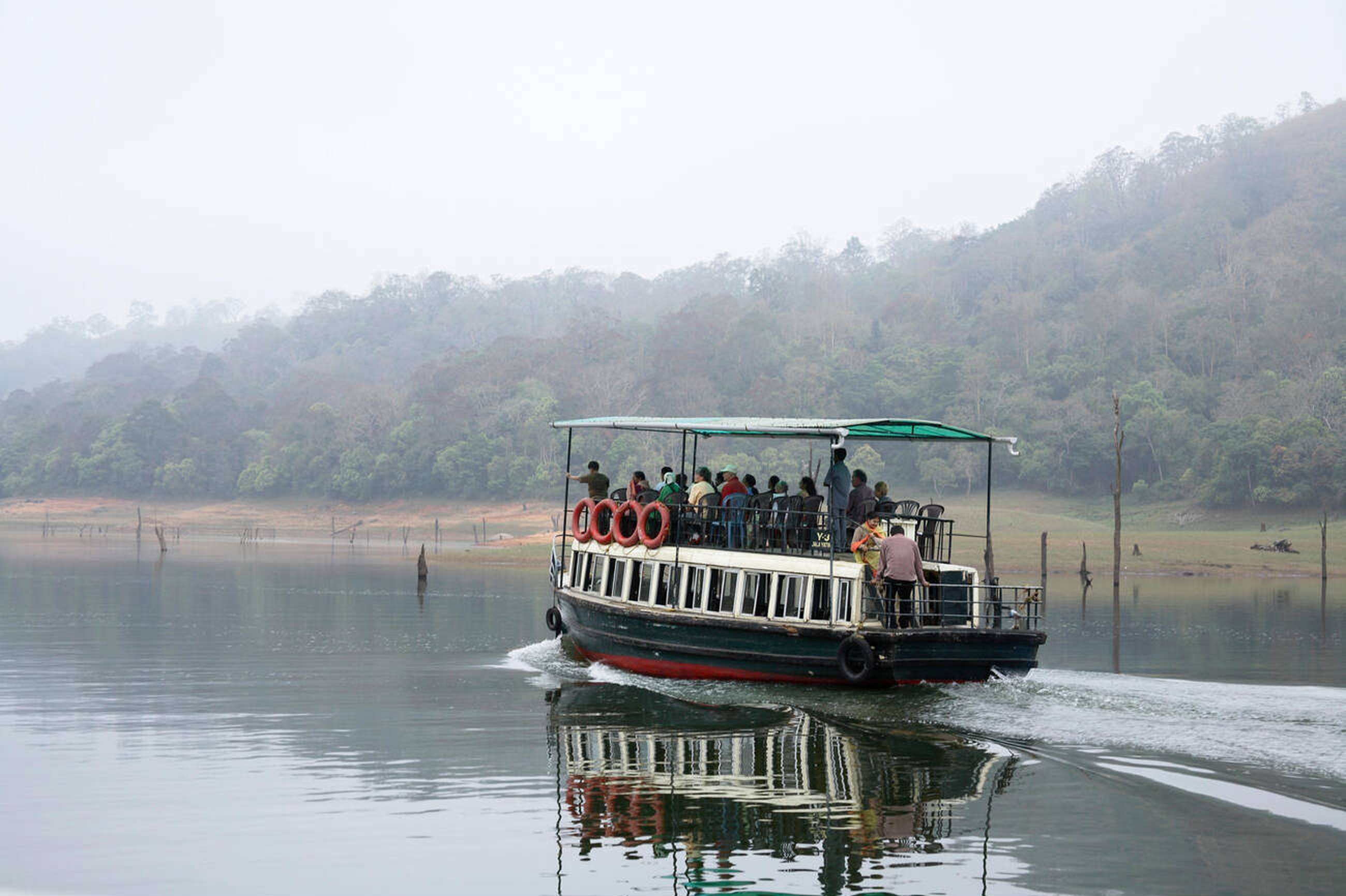 Experience the thrill of a 1.5-hour boat safari on Periyar Lake, passing through the serene waters and lush landscape