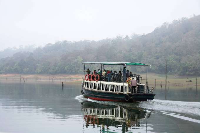 Experience the thrill of a 1.5-hour boat safari on Periyar Lake, passing through the serene waters and lush landscape