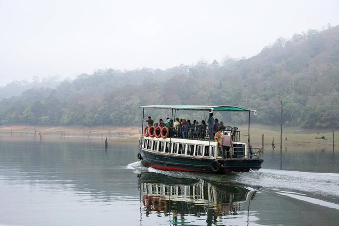 Experience the thrill of a 1.5-hour boat safari on Periyar Lake, passing through the serene waters and lush landscape