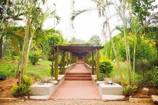 Chairman's Jade Resort Day Out Image