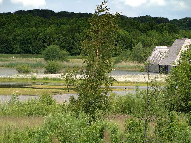 Brockholes Nature Reserve Overview