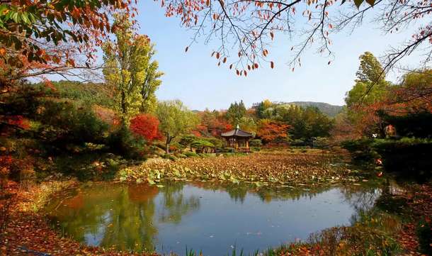 Ubb0mq1817zm94087dek4zhiufyu 1597350265 555