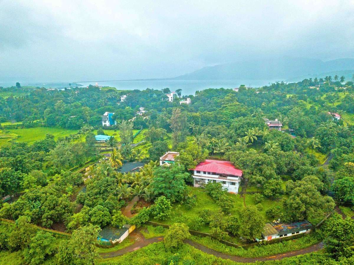 Aerial view of the bungalow 