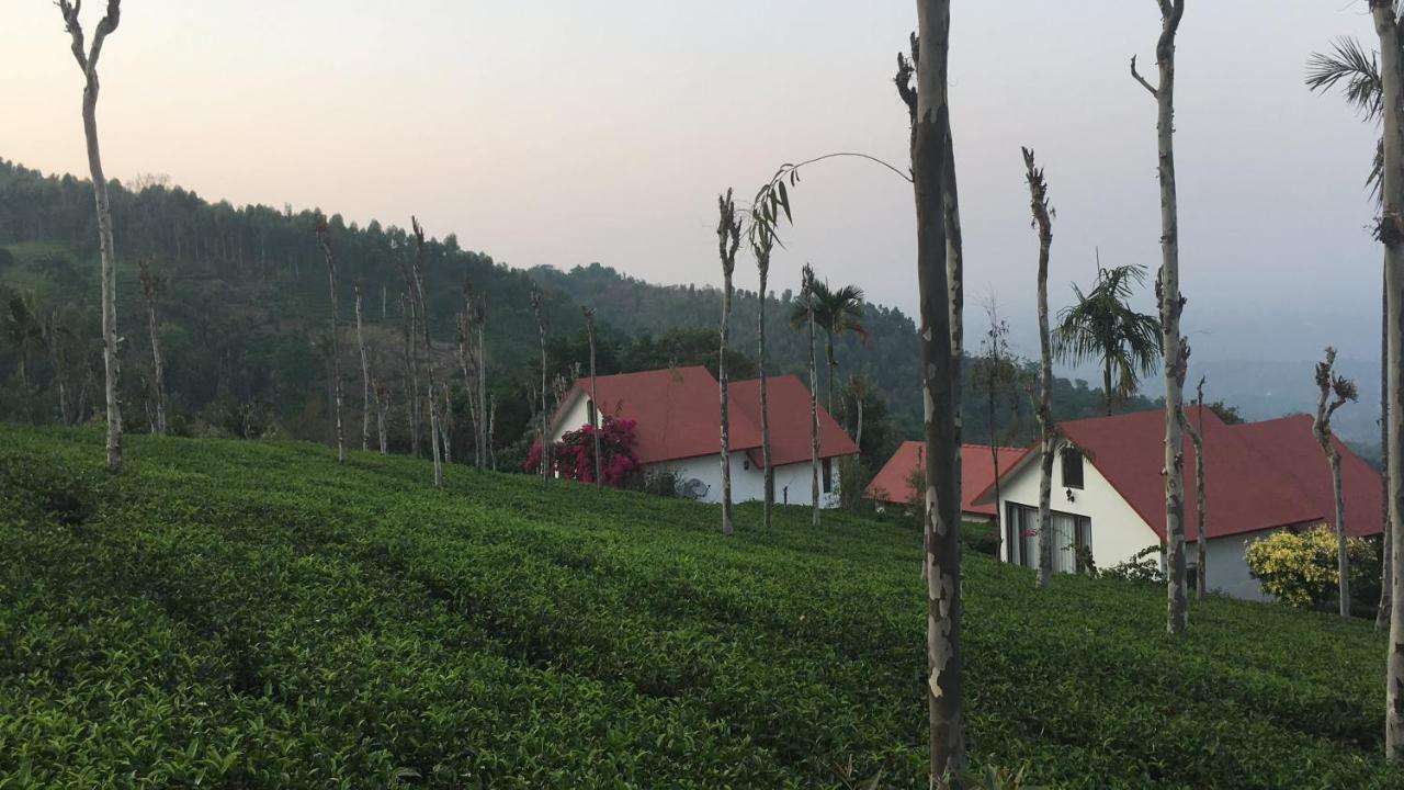 Tea Terrace Vythiri Image