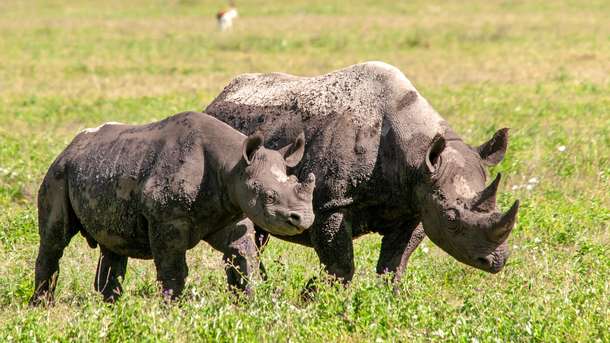 Ueij2ic3t7sb68g2ff522d9ijkx0 shutterstock 2502304347