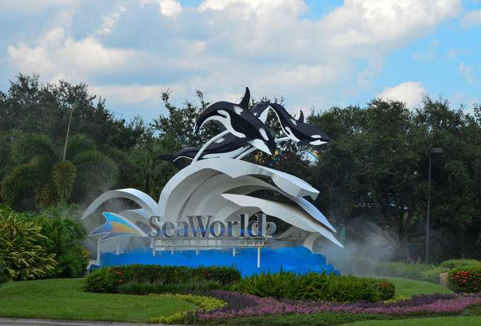 Spend a memorable day with your loved ones at SeaWorld Orlando