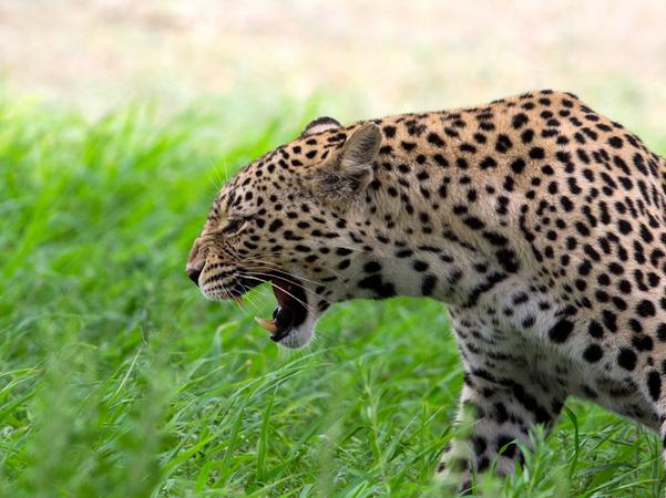 Sarthana Nature Park