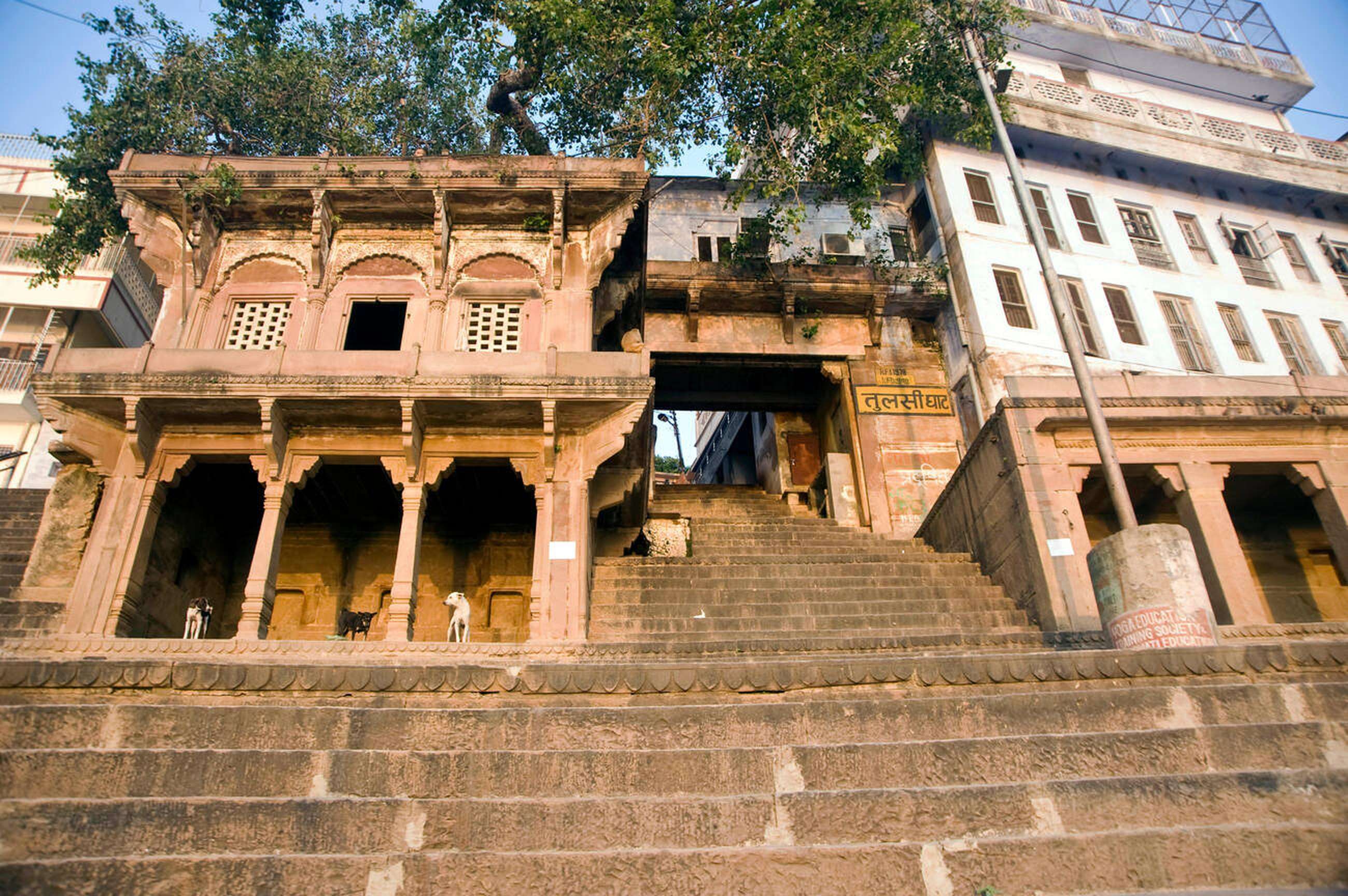 Go on a guided walking tour of Varanasi