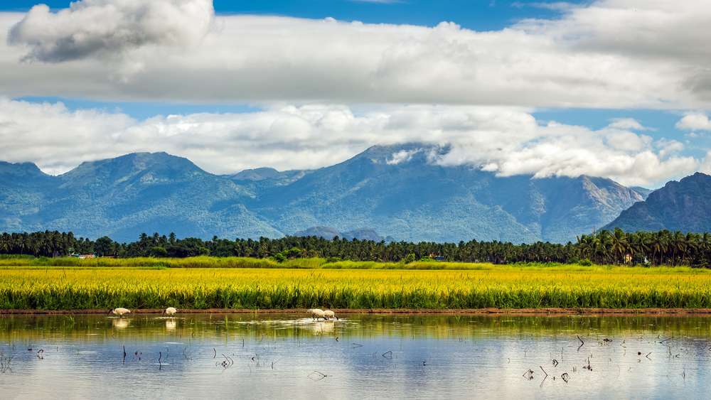 Trivandrum Kovalam Kanyakumari Tour Package Image