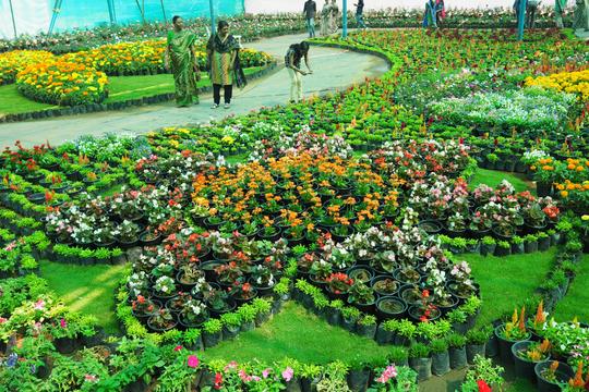 Munnar Sightseeing Tour Image