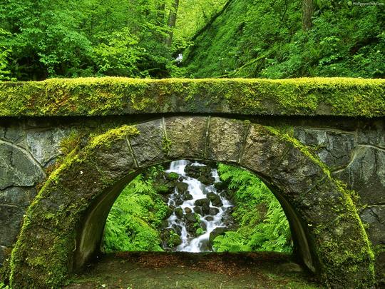 Lohagad Fort Trek  Image