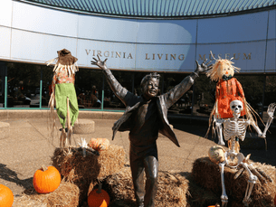 Virginia Living Museum Tickets, Newport News