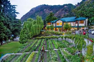 Front view of the property