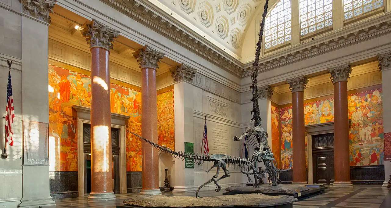 American Museum of Natural History Tickets Image