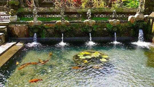 Balinese Purification Experience in Sebatu Holy Spring Water Temple Image