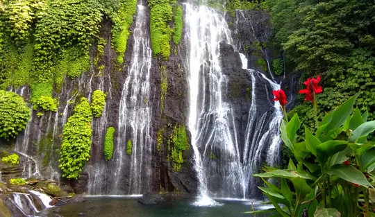 Bali Hidden Waterfalls Trip Image