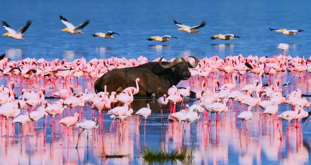 Uqhr6qa6a27mmrmgvfl0aeaynjdp czhvkx2t9o9b9boy4ed7tcabik3v shutterstock 403312306%20(1)