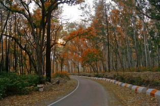 Uqool76ctd13rxxycd260ra645of 1569312205 couple