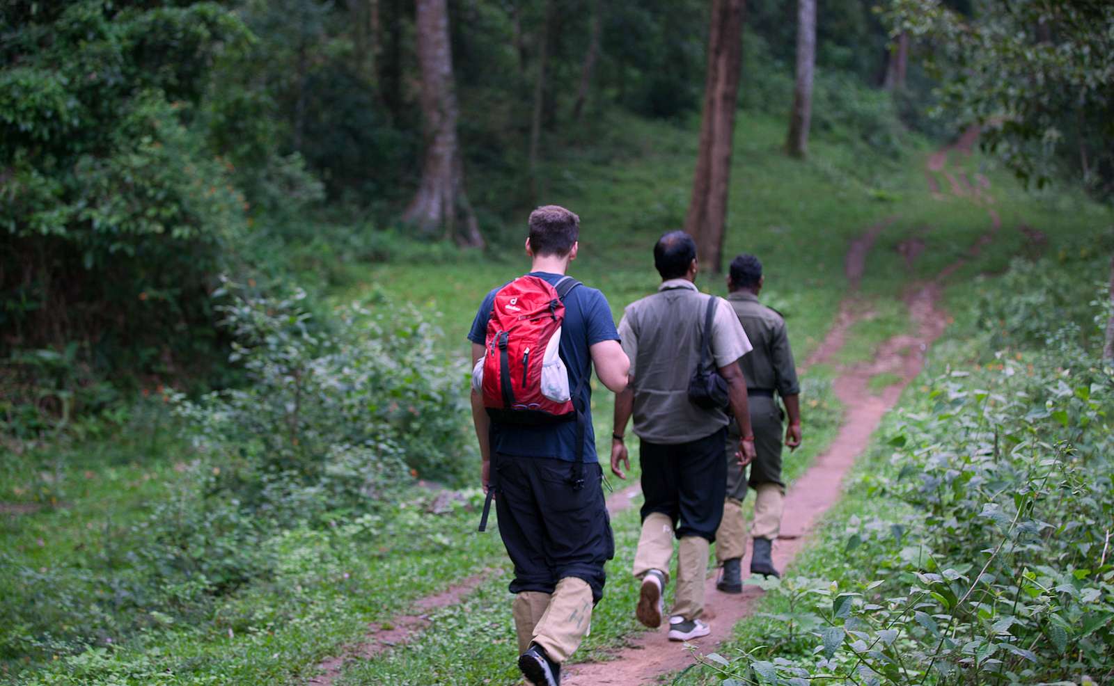Explore lush trails in Periyar Tiger Reserve on a guided 2-hour nature walk