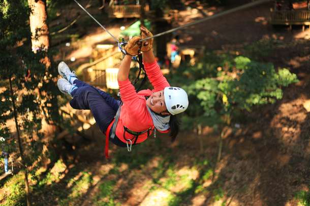 Visit Treetops Adventure - Nowra Shoalhaven Park