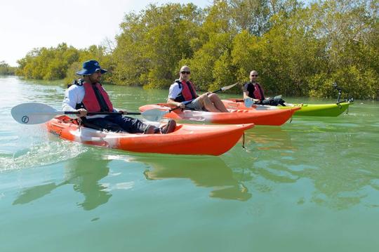 Mangrove Kayaking Abu Dhabi Image