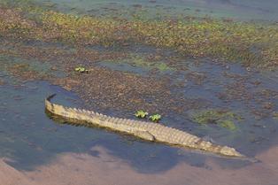 Utqsosgiom3d8i9r8fkilnhy1rb4 49475903423 6f1c11145f k