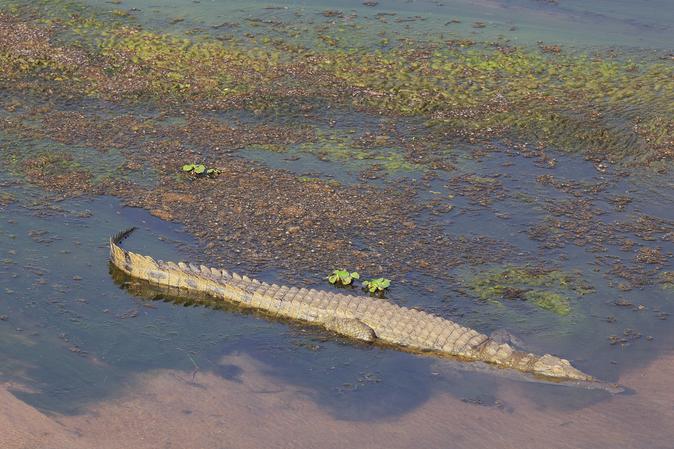 Zanzibar Land Animal Park