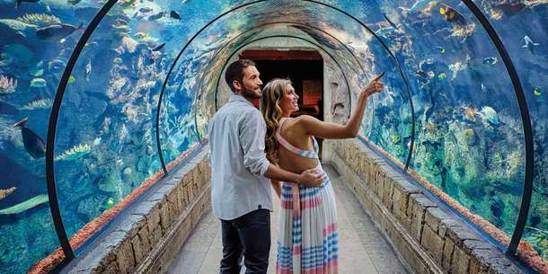 Shark Reef Aquarium & Undersea Explorer VR Experience Tickets