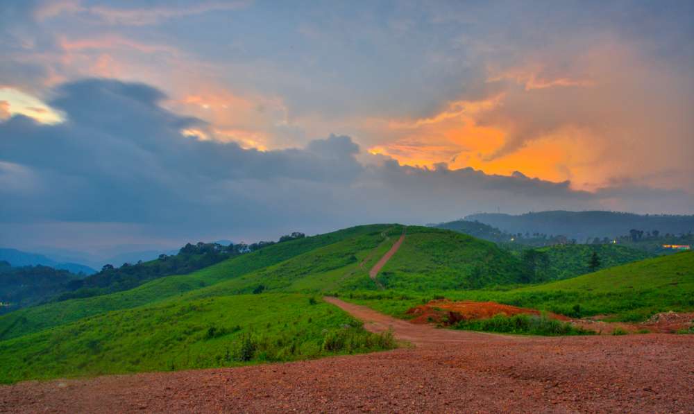 Munnar Thekkady Tour Package from Bangalore Image