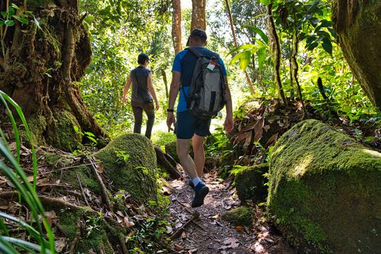 Bird Watching and Trekking Image