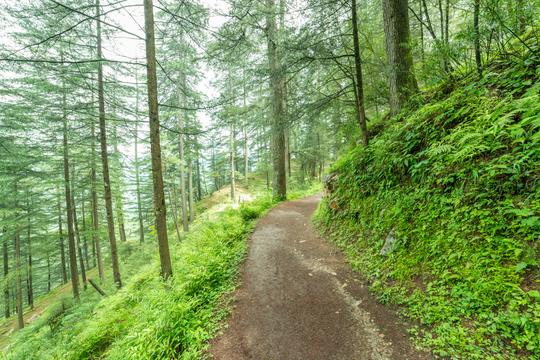 Sainj Valley Trek Image