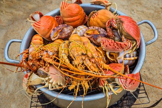 Halong Bay Deluxe Cruise from Hanoi (1 to 3 Days) Image