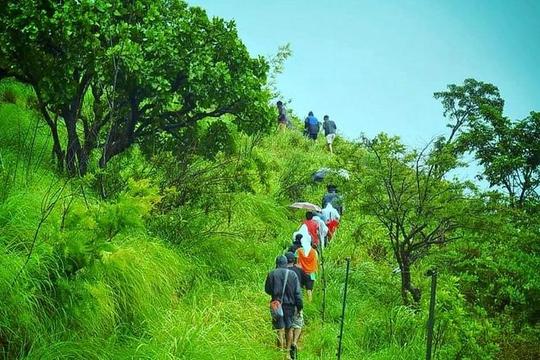 Chembra Peak Trek Image