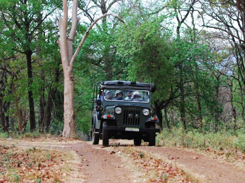 K Gudi Wilderness Camp Near Mysore Image