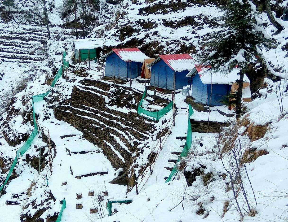 Jungle Camping in Narkanda