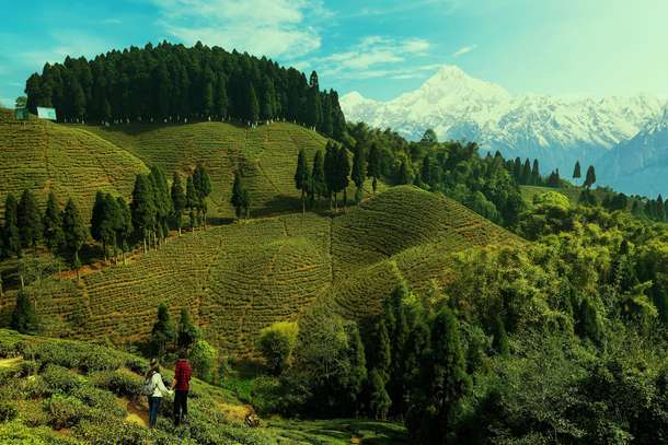 V213s8fw2bd1e7yr2hxagnbtj5z6 shutterstock 2355713223