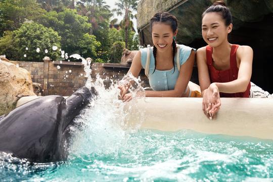 Dolphin Island Singapore Tickets Image