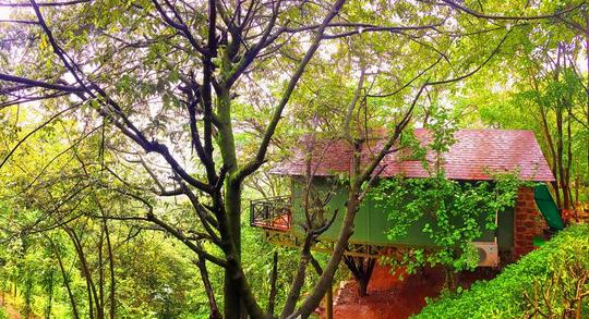 Anandvan Resort Image