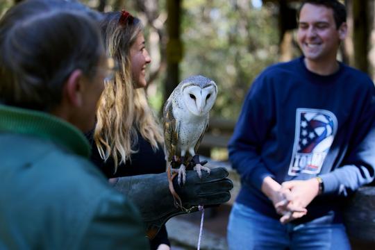 Eagles Heritage Raptor Wildlife Centre Tickets Image