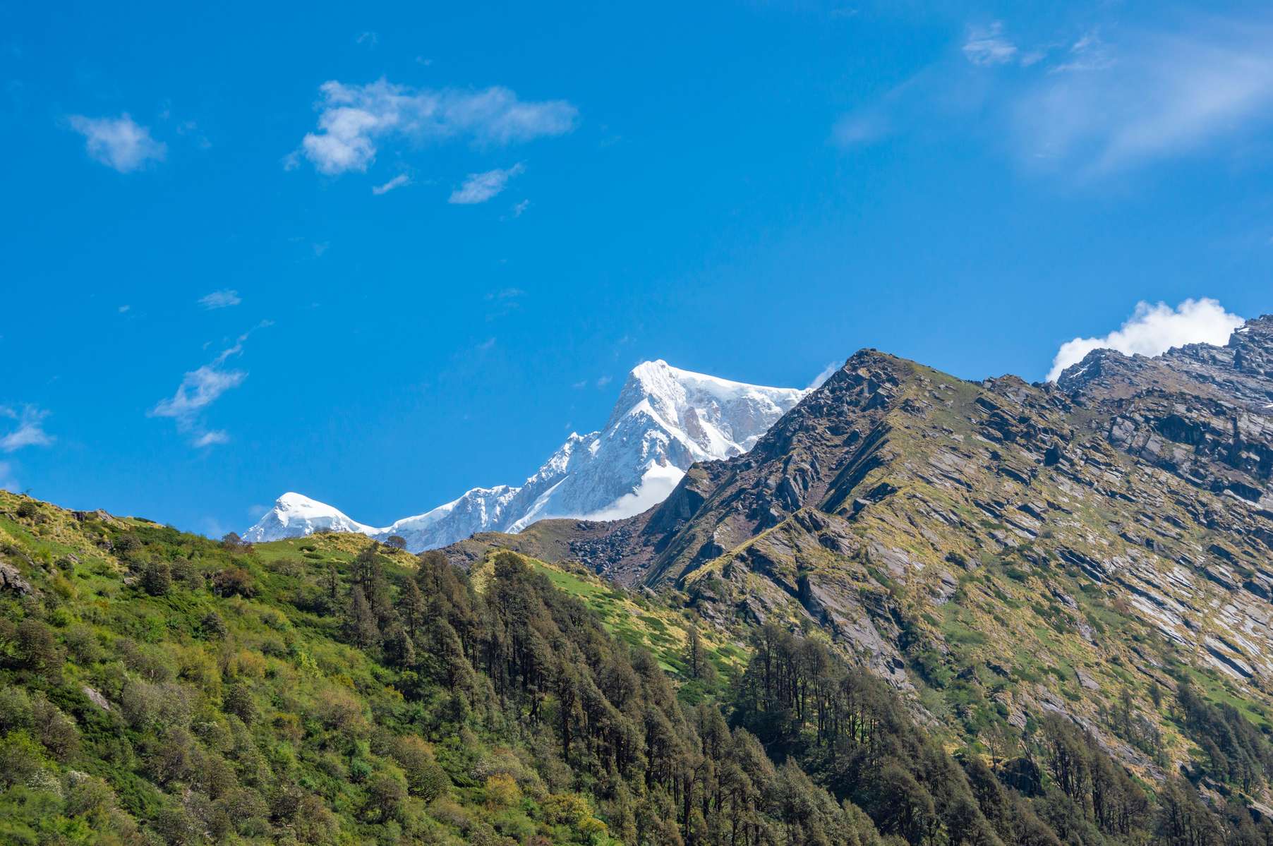 Madmaheshwar Trek Image