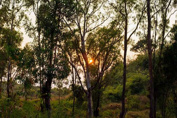 V4w53mki0py4bz1f2gt7dub9il6e 1590734942 shutterstock 1032901741