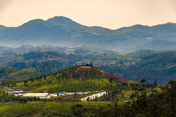 Beautiful view of Ooty Tea plantations, Tamil Nadu
