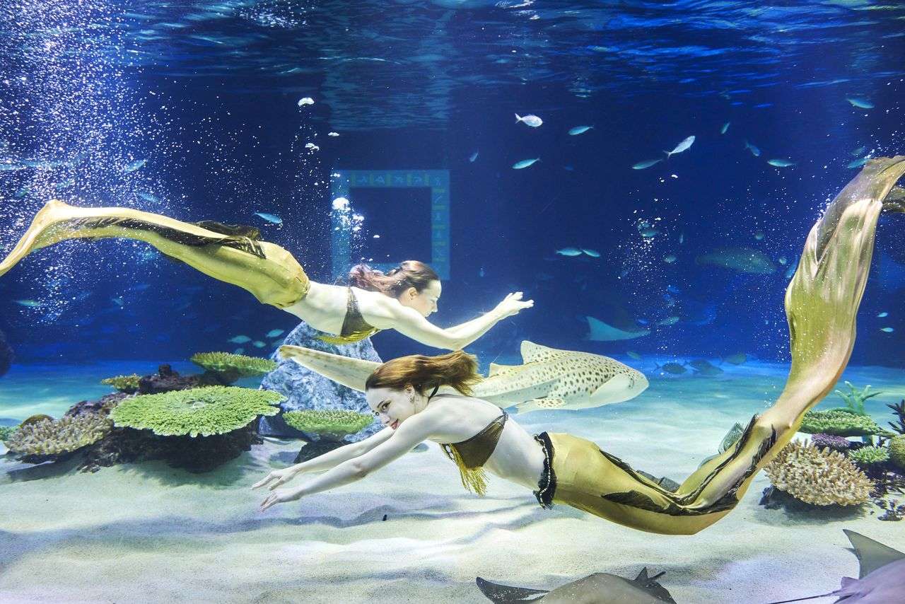 Hanwha Aqua Planet 63 Tickets in Seoul Image