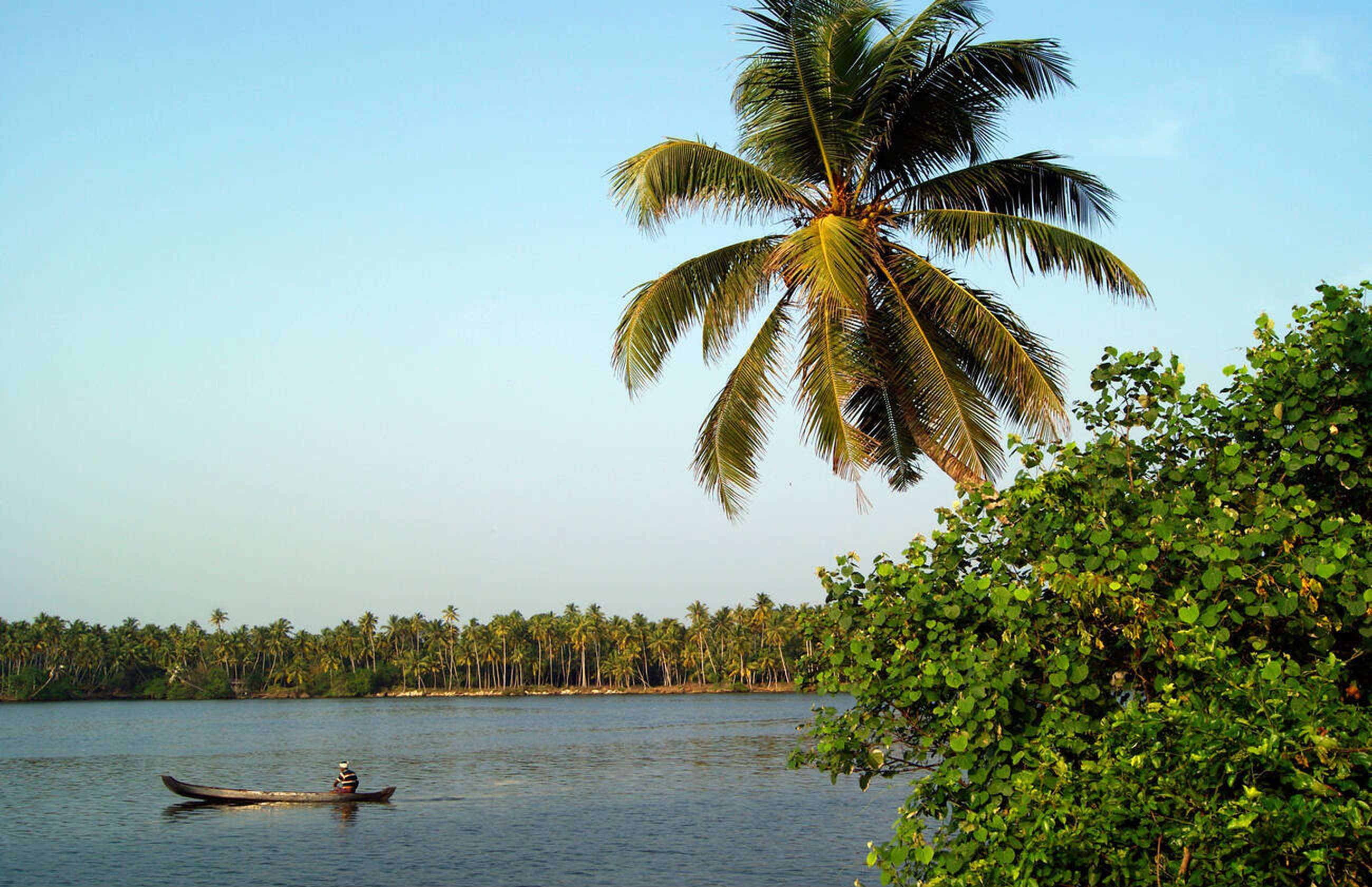 Enjoy a mid-day canoeing experience in Kerala